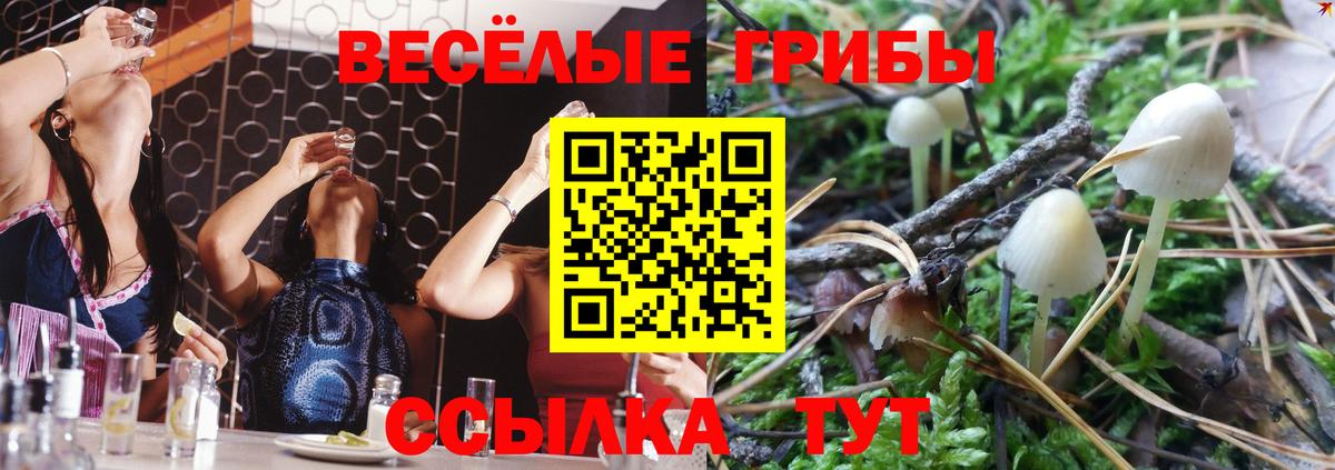 A-PVP СОЛЬ кристаллы  Экстази  КОКАИН  МЕТАМФЕТАМИН  Бошки Шишки  Мефедрон   Касимов  Гашиш  Вход с VPN 